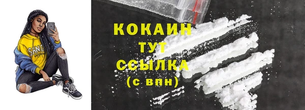 PSILOCYBIN Бородино