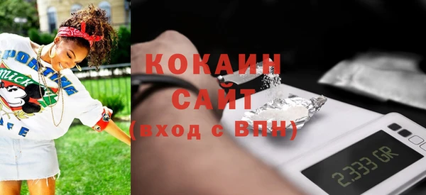 PSILOCYBIN Бородино