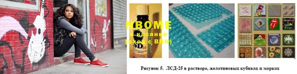 PSILOCYBIN Бородино
