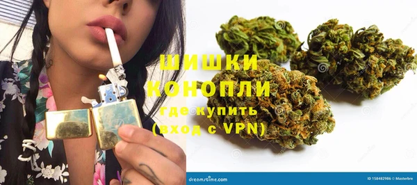 PSILOCYBIN Бородино
